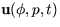 ${\bf u}(\phi,p,t)$