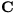${\bf C}$